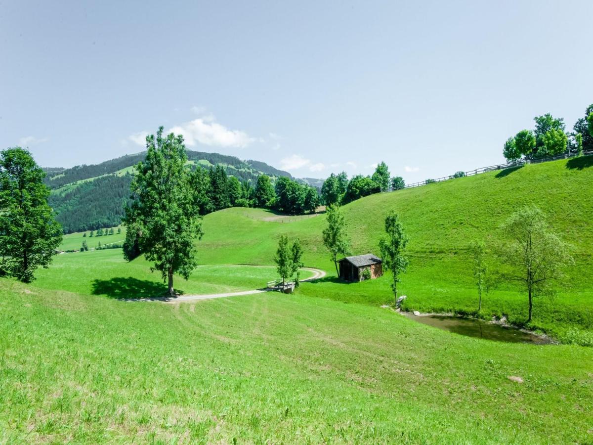 Cosy Flat In Westendorf In Tyrol Holzham Exterior photo